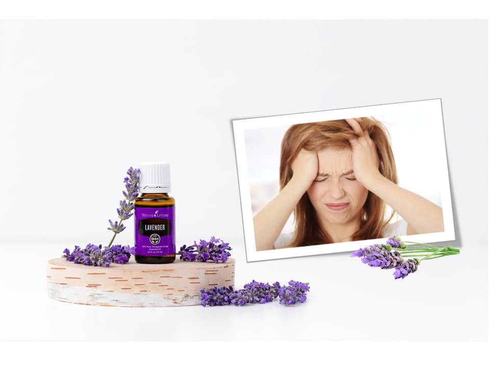 Effect of Lavender on Migraine Okc Massage Clinic
